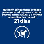 Hill's Prescription Diet J/D Metabolic + Mobility pienso para perros, , large image number null